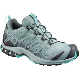 Дамски обувки Salomon Xa Pro 3D Gtx® W сив Leader