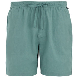 Мъжки къси панталони Regatta Hadlin Shorts светло син Arctic