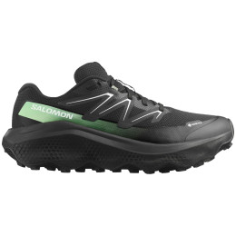 Мъжки обувки Salomon Ultra Flow 2 Gore-Tex