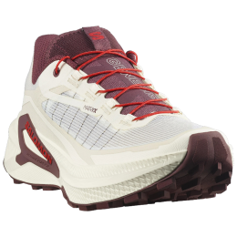 Дамски обувки за бягане Salomon Genesis 2 W