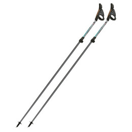 Щеки за скандинавско ходене Fizan NW Carbon Pro Impulse
