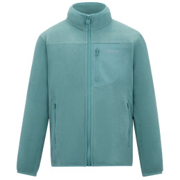 Детски суитшърт Regatta Junior Frankie F/Z Ivy Moss светло зелен Ivy Moss