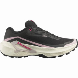 Дамски обувки за бягане Salomon Genesis 2 Gtx W