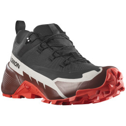 Мъжки туристически обувки Salomon Cross Hike 2 Gore-Tex
