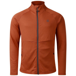 Мъжки суитшърт Dare 2b Apex Stretch Midlayer кафяв ArabianSpice