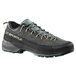 Дамски обувки La Sportiva TX4 Evo Woman сив Carbon/Zest