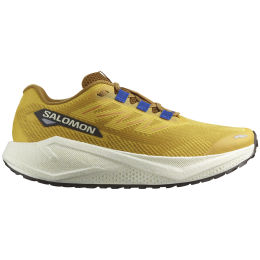 Мъжки обувки за бягане Salomon Aero Blaze 3 Grvl