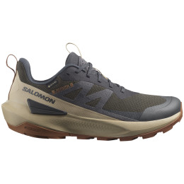 Мъжки трекинг обувки Salomon Elixir Activ Gore-Tex
