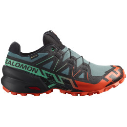 Мъжки обувки за бягане Salomon Speedcross 6 Gore-Tex син/зелен North Atlantic / Black / Cherry Tomato