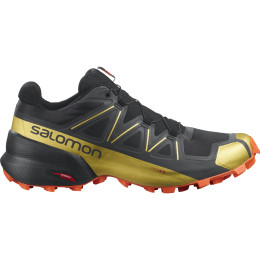 Мъжки обувки Salomon Speedcross 5 GTS черен Black