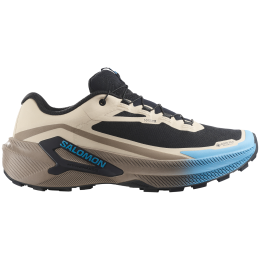Мъжки обувки за бягане Salomon Genesis 2 GTX