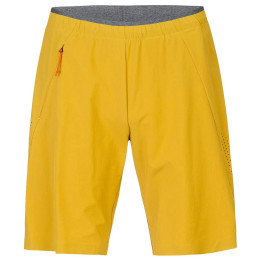 Мъжки къси панталони Hannah Track