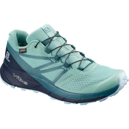 Дамски обувки Salomon Sense Ride 2 Gtx Invis Fit W светло син NileBlue/NavyBlazer/MallardBlue
