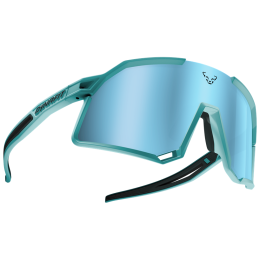 Слънчеви очила Dynafit Trail Evo Sunglasses тюркоазен 8050 - marine blue/blueberry