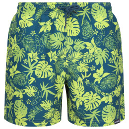 Мъжки къси панталони Regatta Loras Swim Short m