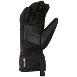 Дамски скиорски ръкавици SnowLife Vivid DT Glove W´s черен ---