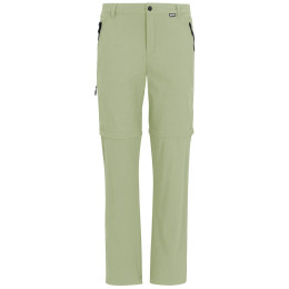 Мъжки панталони Regatta Anti-Insect Travel Light Z/O Trousers светло зелен Light Sage