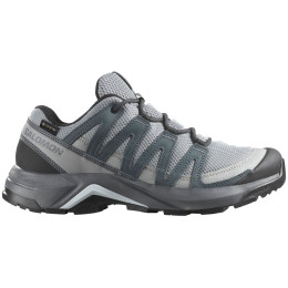 Дамски обувки за трекинг Salomon X-Adventure Recon Gore Tex сив Monument / Turbulence / Ballad Blue