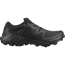 Дамски обувки Salomon Wildcross Gtx
