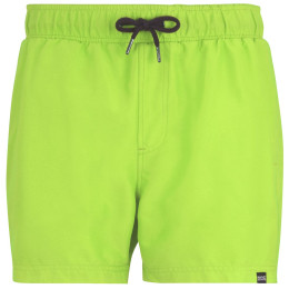 Мъжки бански Regatta Mawson Swim Shorts III