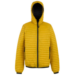 Мъжко яке Regatta Rigain