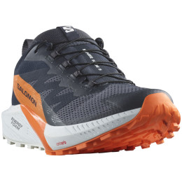 Мъжки обувки за бягане Salomon Sense Ride 5 Gore-Tex