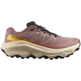 Дамски обувки за бягане Salomon Ultra Flow 2 Gore-Tex