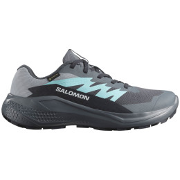 Дамски обувки Salomon Alphaglide Gore-Tex сив/син Turbulence / Aruba Blue / Dark Navy