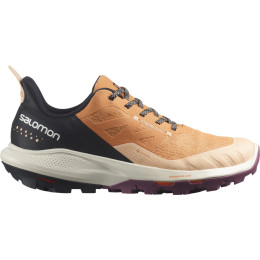 Дамски туристически обувки Salomon Outpulse Gtx W черен/оранжев