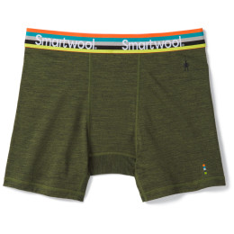 Мъжки функционални боксерки Smartwool M Merino Sport 150 Boxer Brief Boxed зелен MossGreenHeather