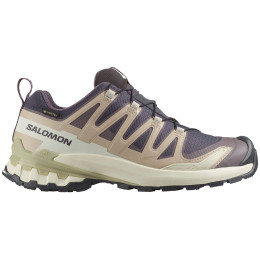 Дамски туристически обувки Salomon Xa Pro 3D V9 Gore-Tex бежов Nine Iron / Oxford Tan / Alfalfa