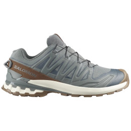Мъжки обувки Salomon Xa Pro 3D V9 Gore-Tex Lifelong