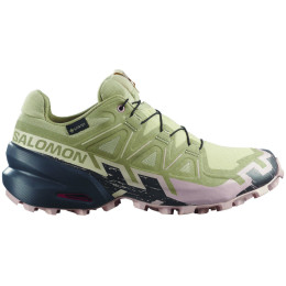 Дамски обувки Salomon Speedcross 6 Gore-Tex