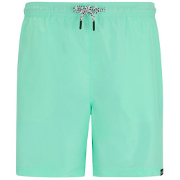 Мъжки къси панталони Regatta Mackleyna Swim Short