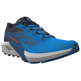 Мъжки обувки за бягане Salomon Sense Ride 5 син French Blue / Black / Dark Blue