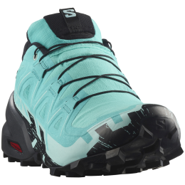 Дамски обувки Salomon Speedcross 6 Gore-Tex