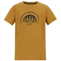 Детска тениска Regatta Bosley Wood Brown кафяв Wood Brown
