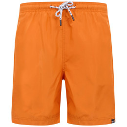 Мъжки къси панталони Regatta Mackleyna Swim Short