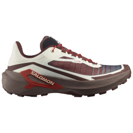 Мъжки обувки за бягане Salomon Genesis 2