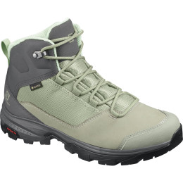 Дамски обувки Salomon Outward GTX W светло зелен Shadow