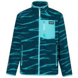 Детски функционален суитшърт Regatta Junior Frankie Warm Fleece Mediterranea Zebra зелен Mediterranea Zebra
