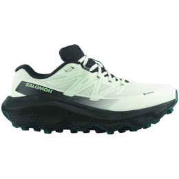 Дамски обувки за бягане Salomon Ultra Flow 2 Gore-Tex
