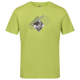 Мъжка тениска Regatta Fingal Slogan II зелен