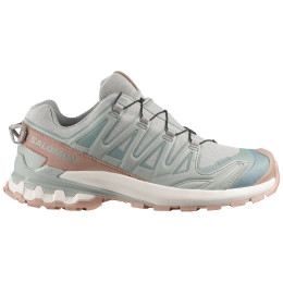 Дамски обувки Salomon Xa Pro 3D V9 Gore-Tex Lifelong