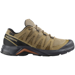 Мъжки туристически обувки Salomon X-Adventure Recon Gore Tex