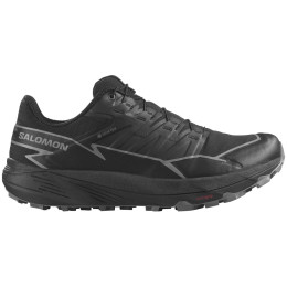 Мъжки обувки за бягане Salomon Thundercross Gore-Tex