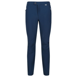 Мъжки панталони Regatta Highton Trs