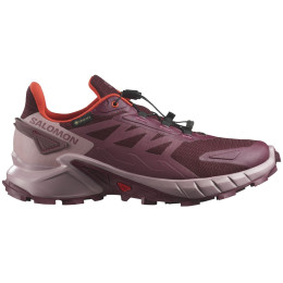 Дамски обувки за бягане Salomon Supercross 4 GTX