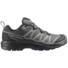 Мъжки трекинг обувки Salomon Exraise Gtx сив Asphalt / Sedona Sage / Black