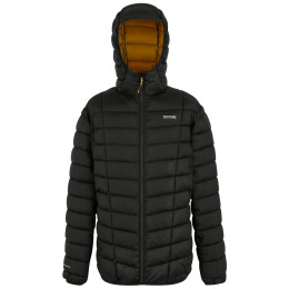 Мъжко яке Regatta Asper черен Black